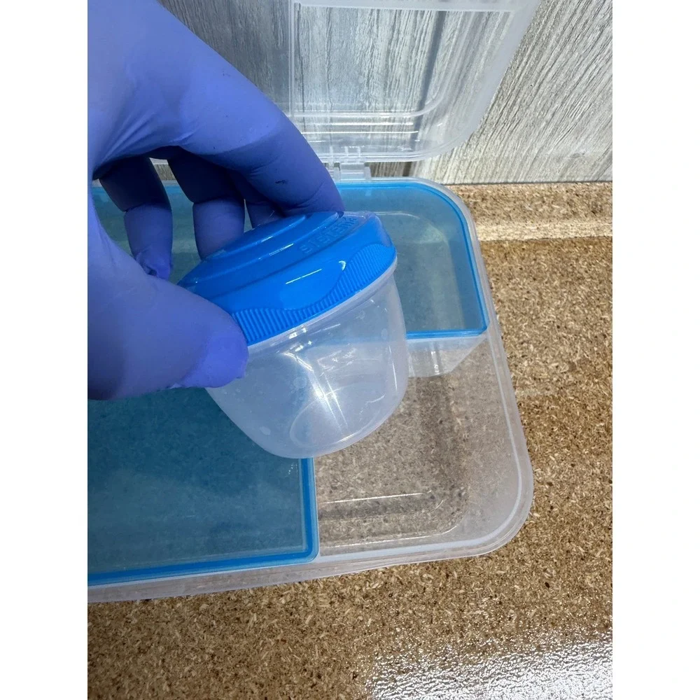 Sistema Bento Box Multi Compartment Lunch Container Blue 2L with Yogurt Pot
